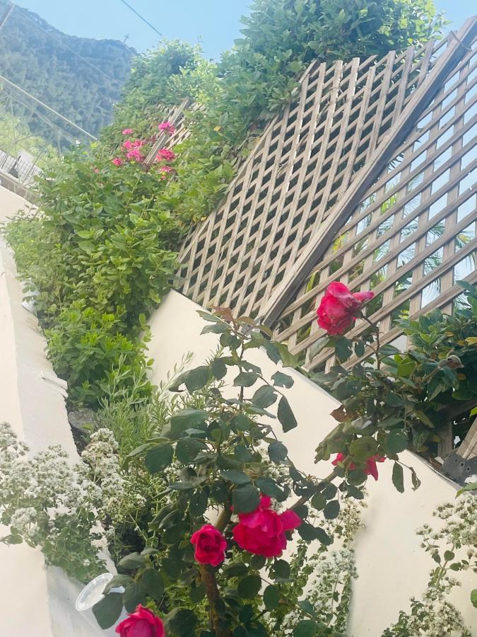 Naelia Villa Pastida Bagian luar foto